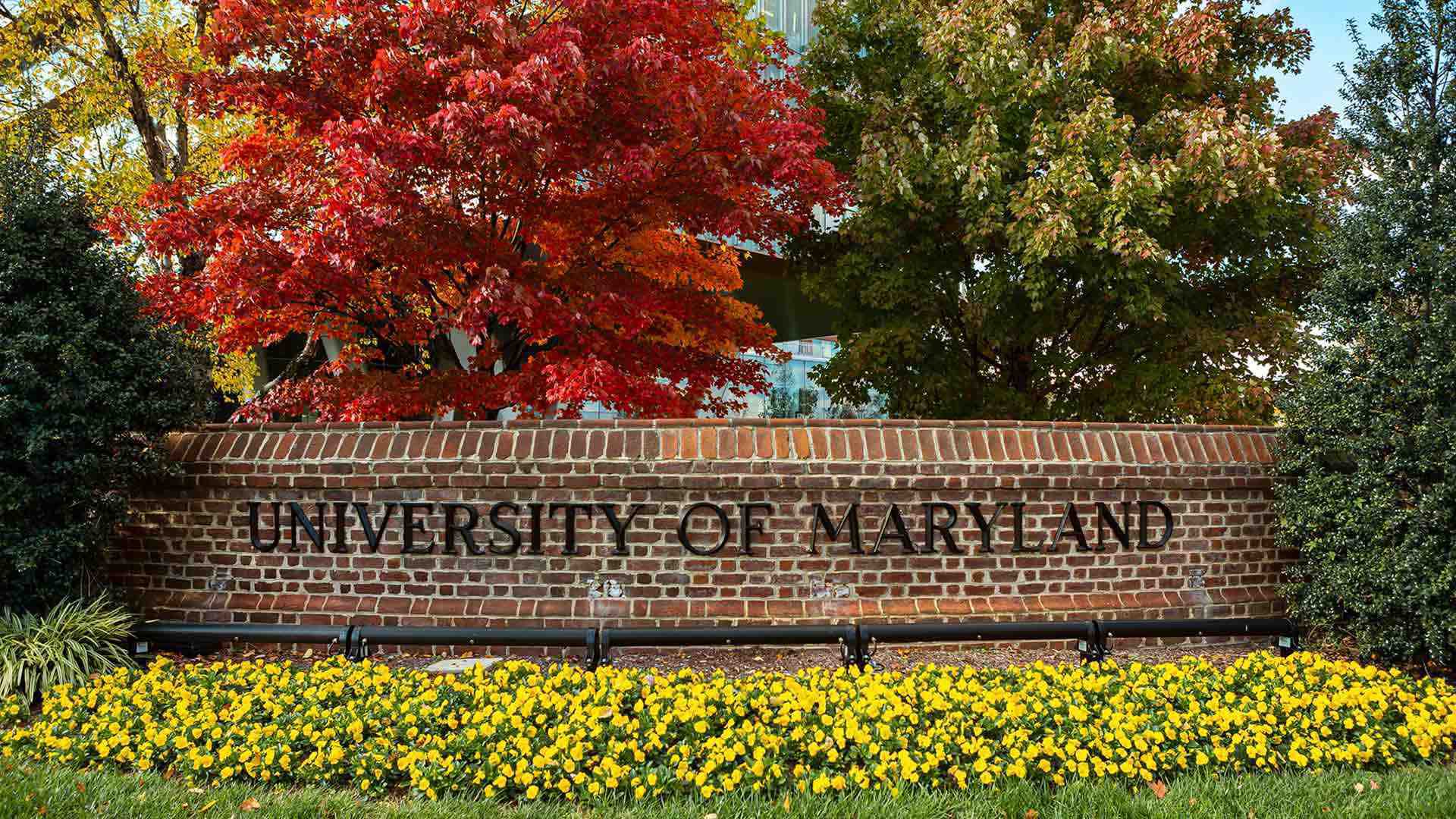 Picture of University of Maryland sign on brick wall