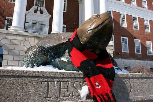 Testudo with scarf